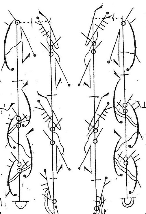 Canarye Guyot Prevost 45 (2)